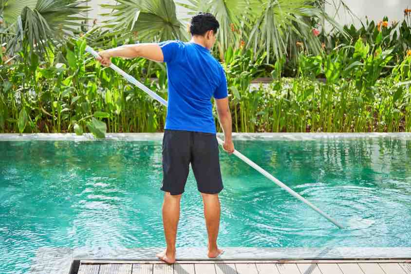 Brosse pour le nettoyage des surfaces de la piscine